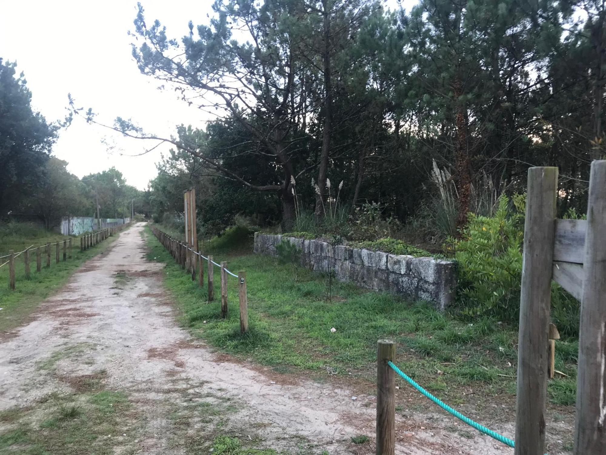 Arvore Cozy Com Jardim Exterior foto